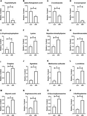 Long-Term Cardiac Damage Associated With Abdominal Irradiation in Mice